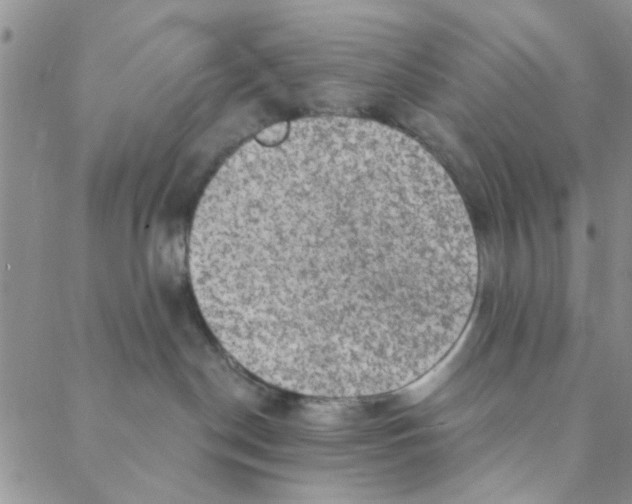 X0000088390190200706191342
