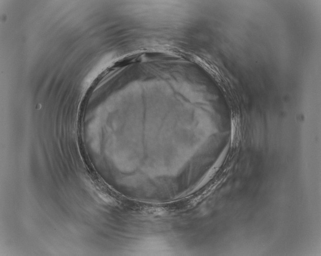 X0000088390195200706191341