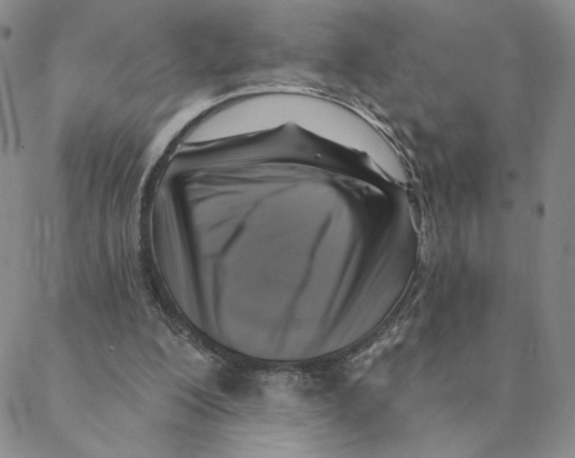 X0000088390200200706191341