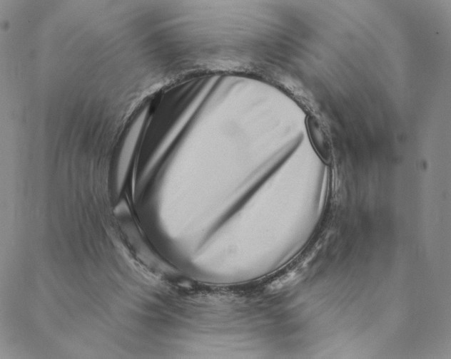 X0000088390201200706191341