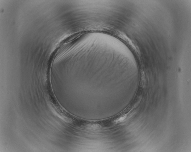 X0000088390203200706191341