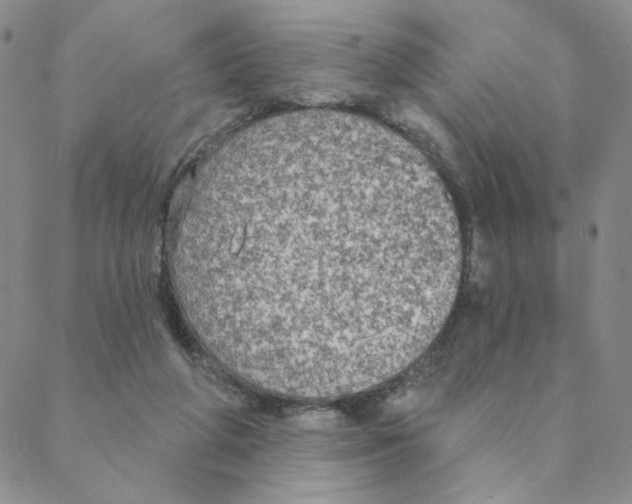 X0000088390210200706191341