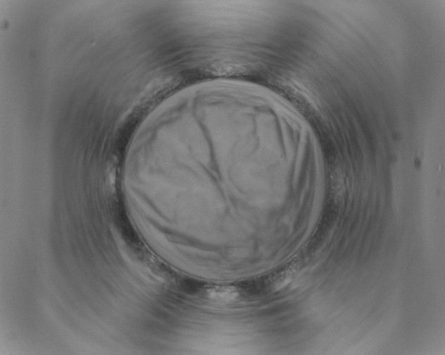 X0000088390214200706191341