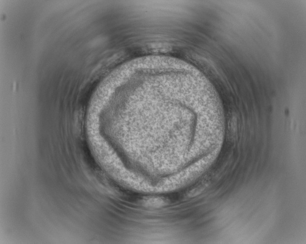 X0000088390218200706191341