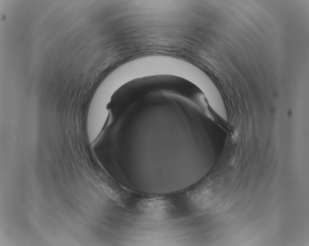 X0000088390219200706191341