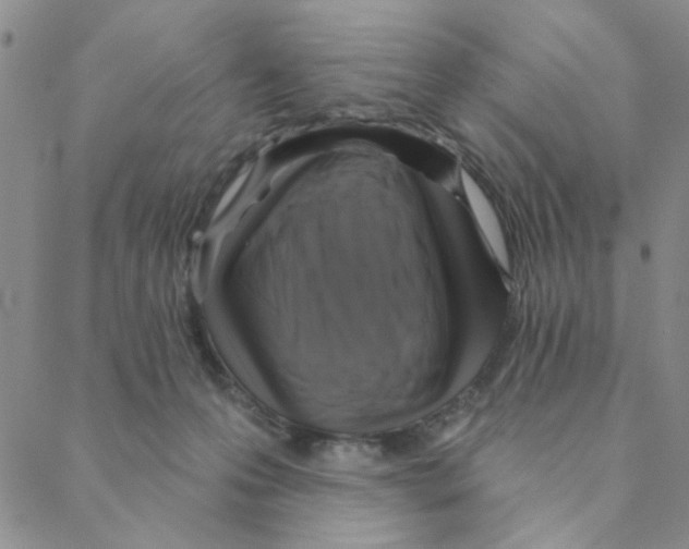 X0000088390223200706191341