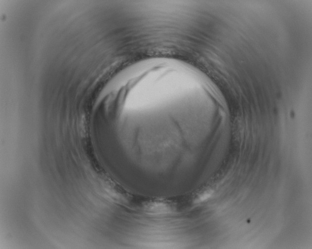 X0000088390224200706191340