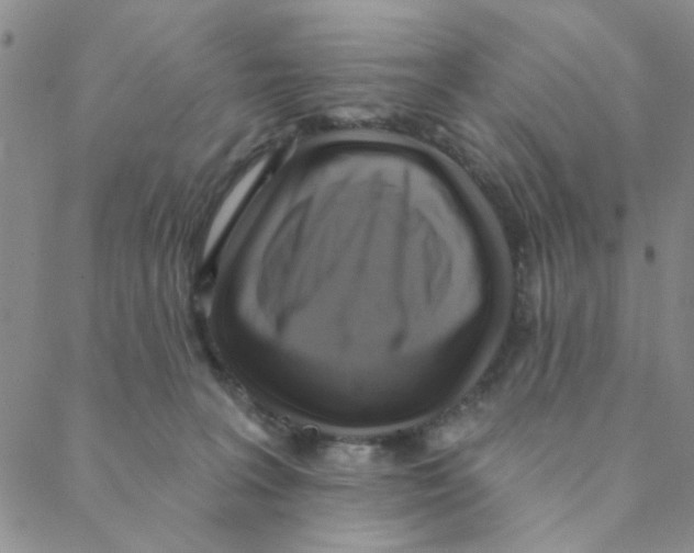 X0000088390227200706191340