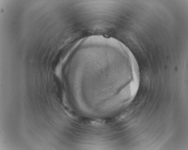 X0000088390232200706191340