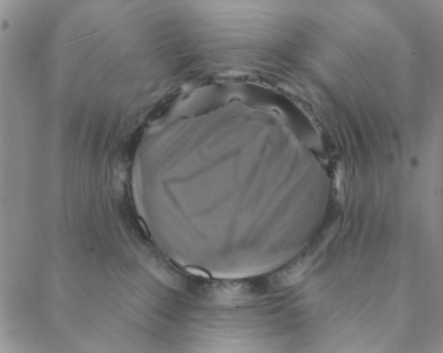 X0000088390235200706191340