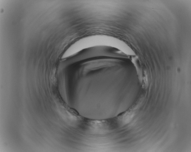 X0000088390239200706191340