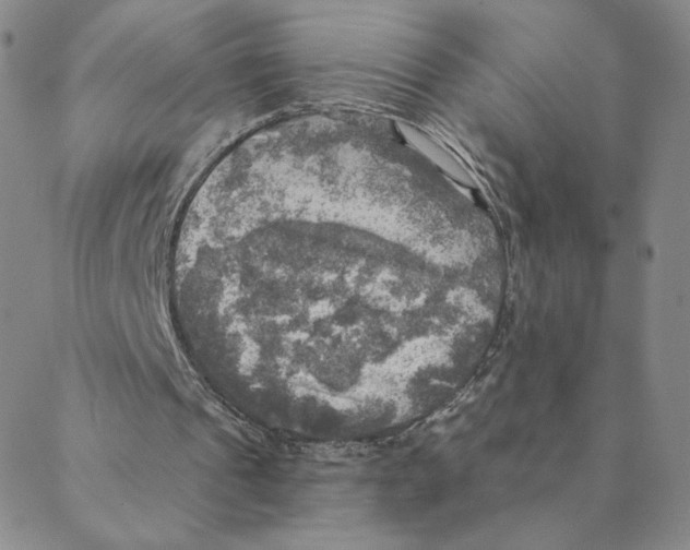 X0000088390241200706191339