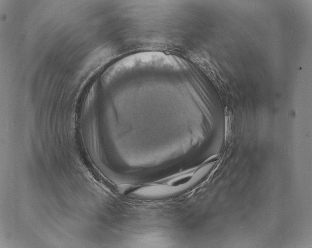 X0000088390243200706191339