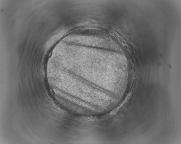 X0000088390245200706191340