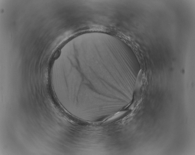 X0000088390247200706191340