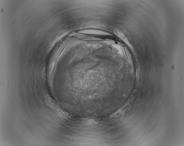 X0000088390249200706191340
