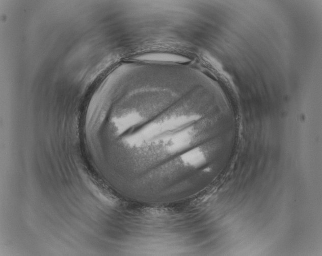 X0000088390250200706191340