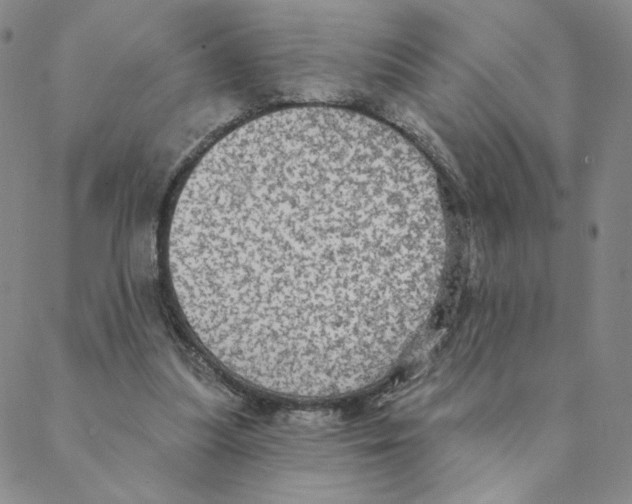 X0000088390251200706191340