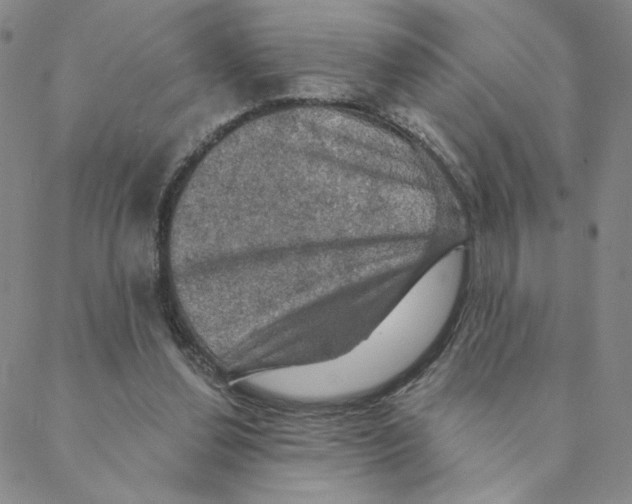 X0000088390252200706191340