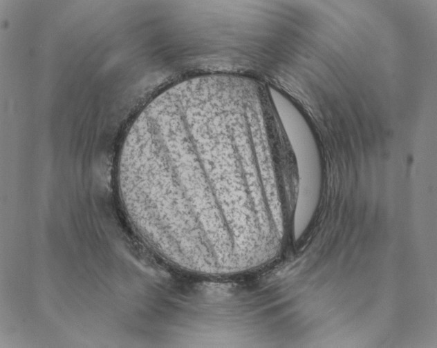 X0000088390255200706191340