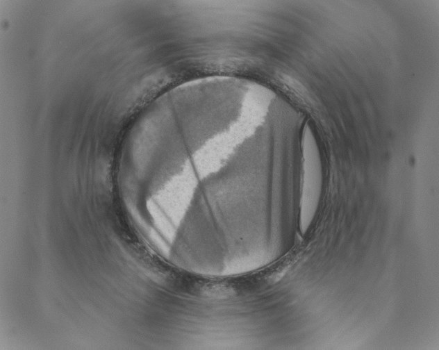 X0000088390258200706191340