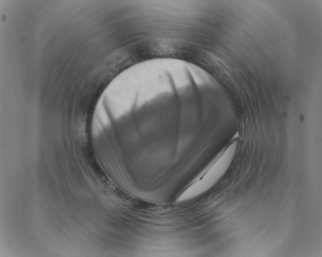 X0000088390267200706191340