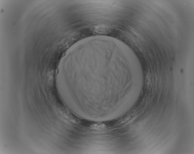 X0000088390271200706191340