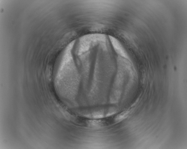 X0000088390273200706191340