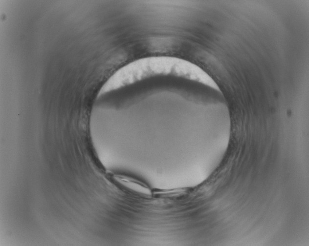 X0000088390277200706191340