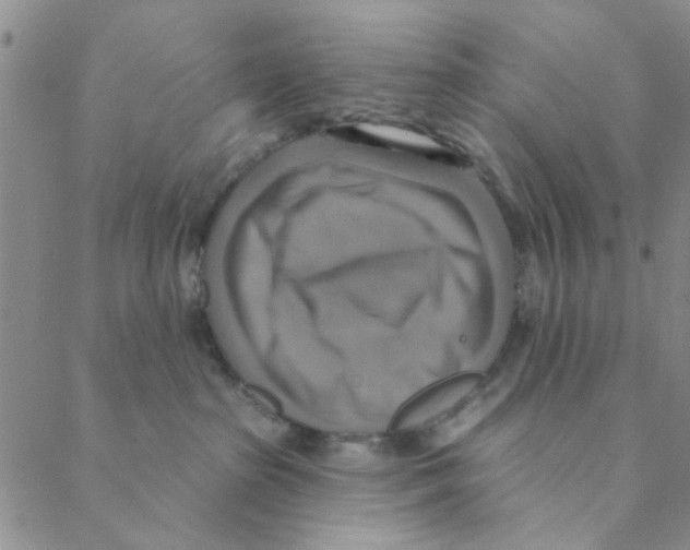 X0000088390285200706191340