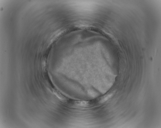 X0000088390288200706191340
