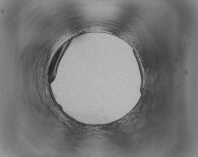 X0000088390289200706191339
