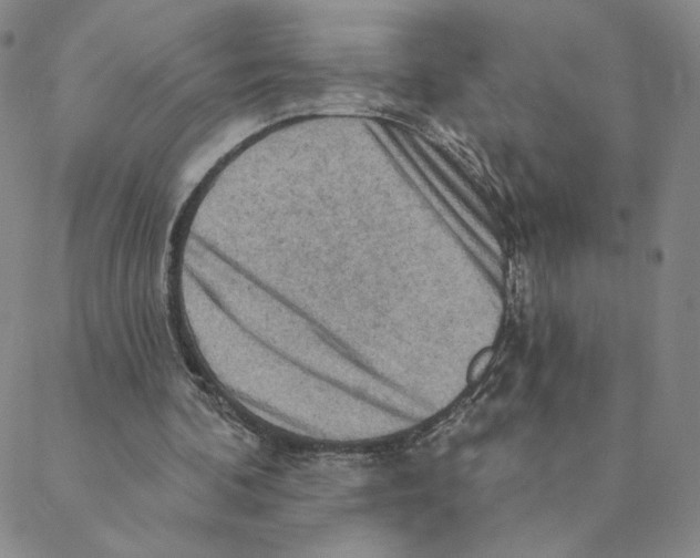 X0000088390292200706191339