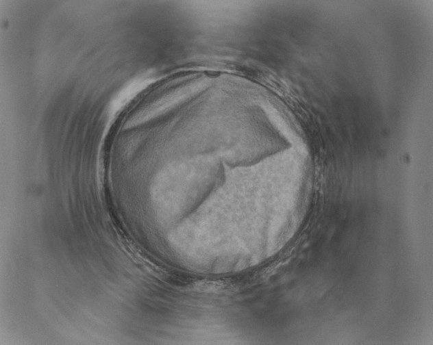 X0000088390294200706191339