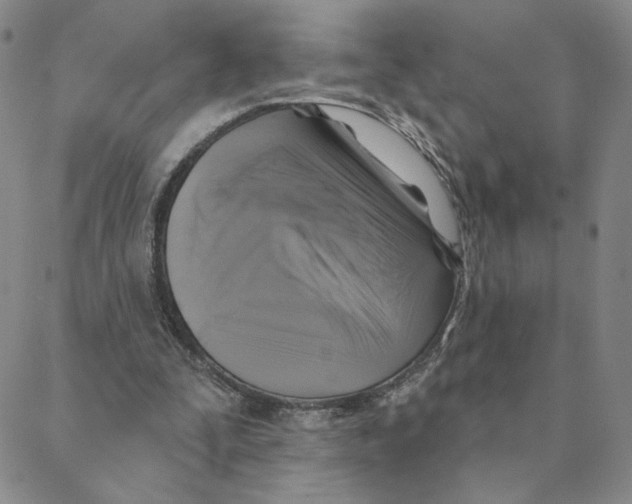 X0000088390295200706191339