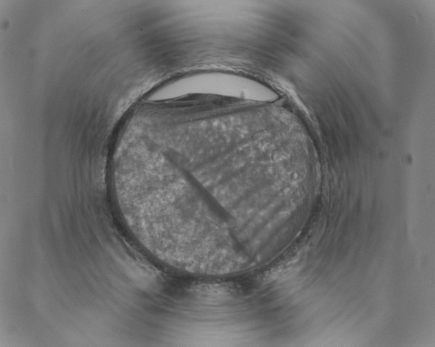 X0000088390299200706191339