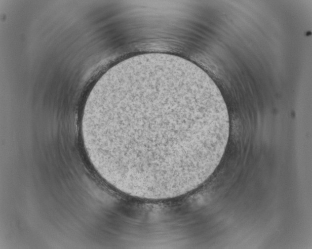 X0000088390302200706191339