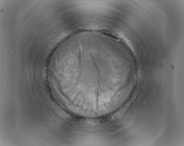 X0000088390305200706191339