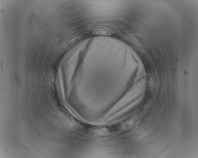 X0000088390322200706191339
