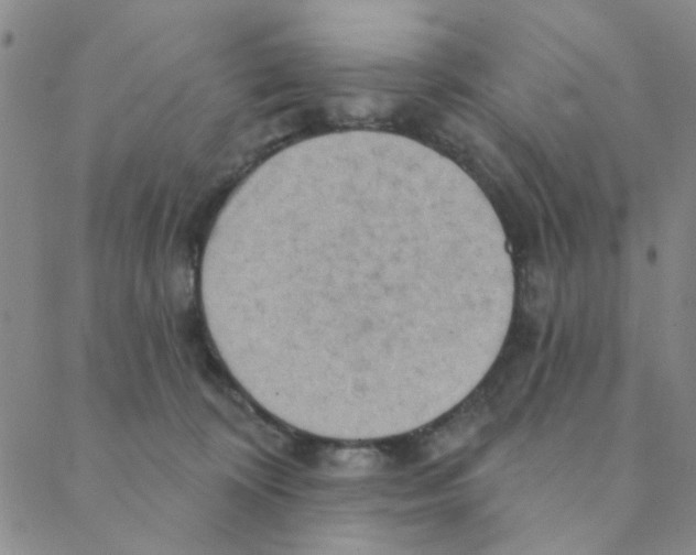 X0000088390324200706191339