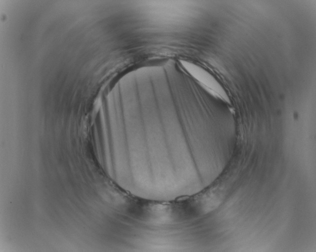 X0000088390325200706191339