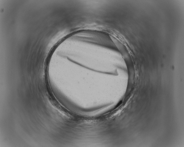X0000088390344200706191338