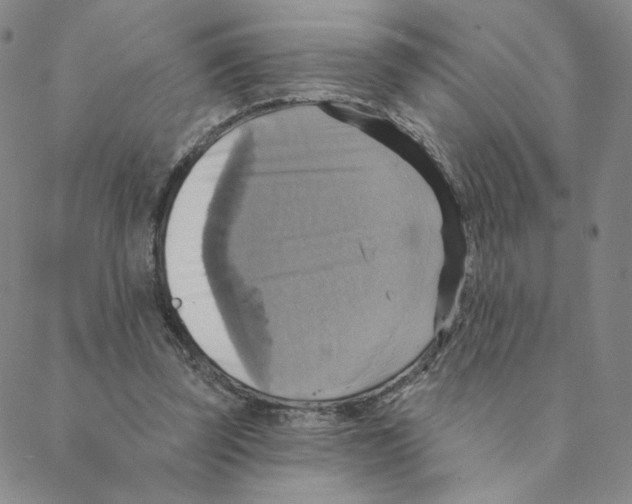 X0000088390347200706191338