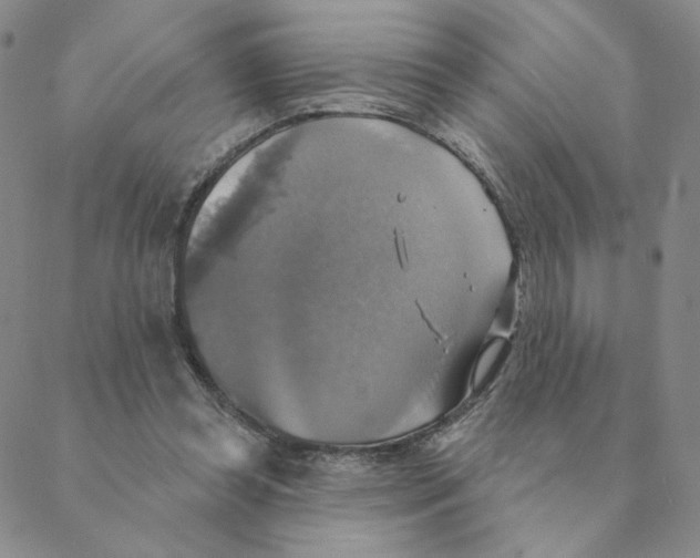 X0000088390349200706191338