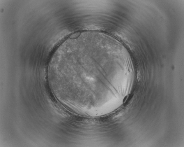 X0000088390351200706191338