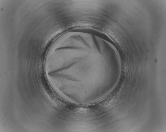 X0000088390352200706191338