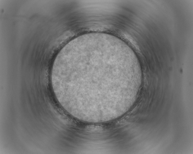 X0000088390354200706191338