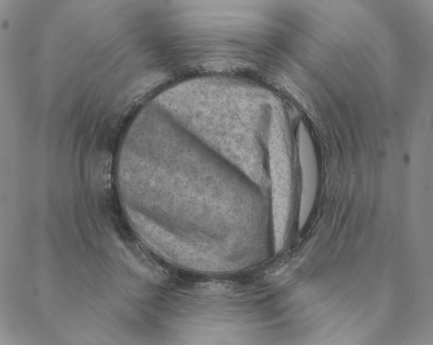 X0000088390356200706191338
