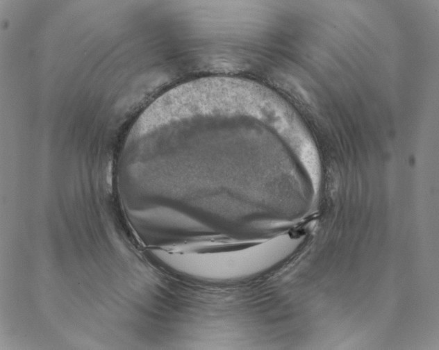X0000088390358200706191338