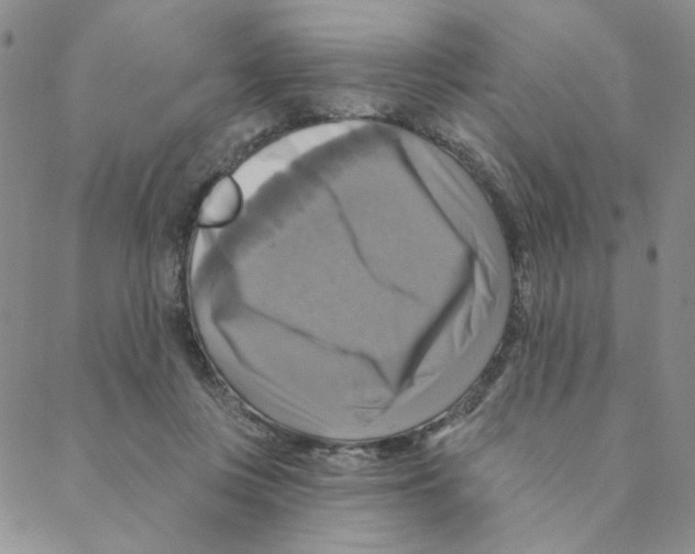 X0000088390359200706191338